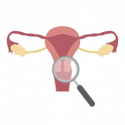 Logo zariadenia Gynekologická a pôrodnícka ambulancia - MUDr. Bibiána Bajteková