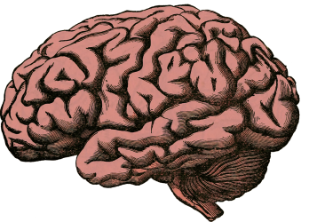 Logo zariadenia Neurologická amulancia