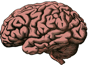 Logo zariadenia Detská neurologická ambulancia - NEUROPEDIA, s.r.o. - MUDr. Dagmar Patúšová