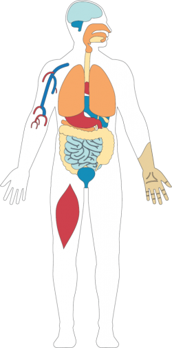 Logo zariadenia OKF ambulancia - MUDr. Poizlová