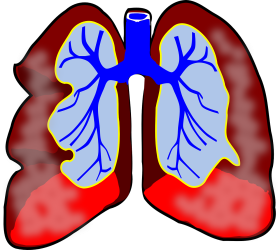 Logo zariadenia Pneumologická ambulancia - MUDr. Naji Mohamad PhD.