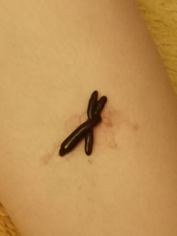 Logo zariadenia Pijavica lekárska na domáce použitie - Marta Kolštromová