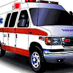 Logo zariadenia DZS - Dopravná zdravotná služba