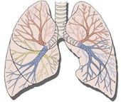 Logo zariadenia Pneumologicko-ftizeologická ambulancia -- MUDr. Ĺudovít Gremeň, Onko s.r.o.