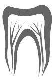 Logo zariadenia DENTAL STUDIO, spol. s r.o. - MDDr. Tomáš Novák