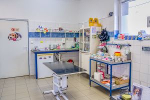 Fotografia 3 od Veterinárna klinika Planet - MVDr. Karel Hudec