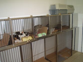 Fotografia 10 od Veterinárna klinika Planet - MVDr. Karel Hudec