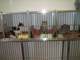 Fotografia 11 od Veterinárna klinika Planet - MVDr. Karel Hudec