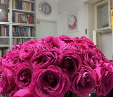 Fotografia 3 od Ambulancia všeobecného praktického lekára - MUDr. Peter LIPTÁK