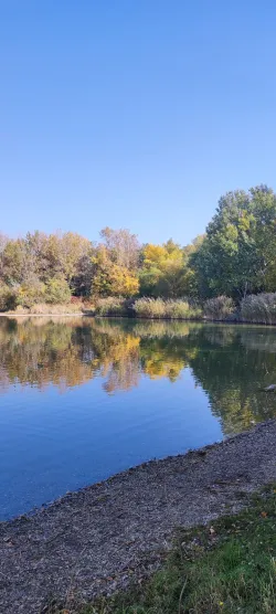 Fotografia miesta 6 od Laserová medicína - MUDr. Rastislav Vrabec