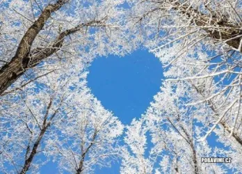 Fotografia miesta 2 od Psychiatrická ambulancia - MUDr. Jana Ondirová