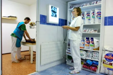 Fotografia miesta 5 od BajVet - veterinárna poliklinika - MVDr. Ján Nemčko