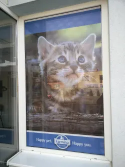 Fotografia miesta 2 od Veterinárna klinika Planet - MVDr. Karel Hudec