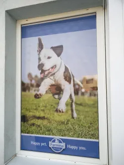 Fotografia miesta 3 od Veterinárna klinika Planet - MVDr. Karel Hudec