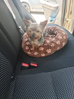 Fotografia miesta 5 od Veterinárna klinika Planet - MVDr. Karel Hudec