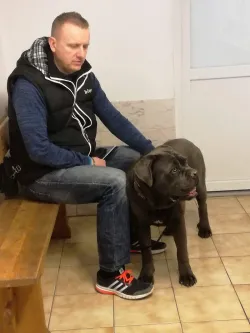 Fotografia miesta 6 od Veterinárna ambulancia Tábor - MVDr. Miroslav Petrík