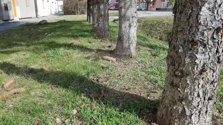 Fotografia miesta 2 od Veterinárna ambulancia DN – VET s.r.o. -  MVDr. Hronec, MVDr. Lepeň