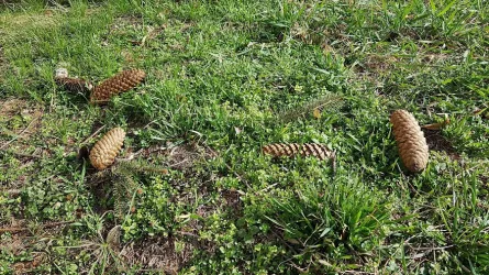 Fotografia miesta 5 od Veterinárna ambulancia DN – VET s.r.o. -  MVDr. Hronec, MVDr. Lepeň