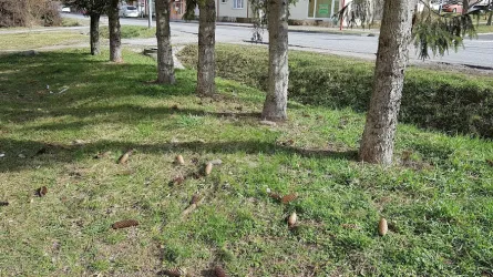 Fotografia miesta 6 od Veterinárna ambulancia DN – VET s.r.o. -  MVDr. Hronec, MVDr. Lepeň