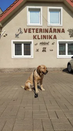 Fotografia miesta 1 od Veterinárna ambulancia – MVDr. Vladislav Juško