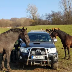 Fotografia miesta 6 od Veterinárna ambulancia – MVDr. Vladislav Juško