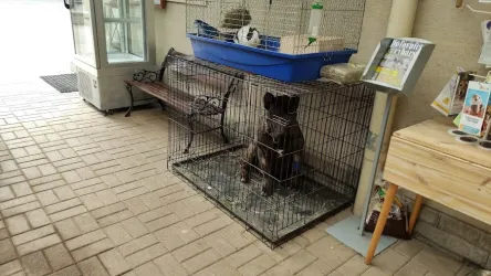 Fotografia miesta 8 od Veterinárna ambulancia – MVDr. Vladislav Juško