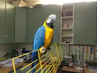 Fotografia miesta 2 od Veterinárna prax EJMI Bojnice - MVDr. Peter Mláka