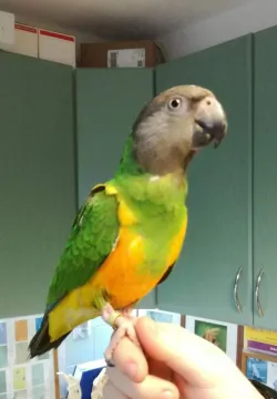 Fotografia miesta 9 od Veterinárna prax EJMI Bojnice - MVDr. Peter Mláka