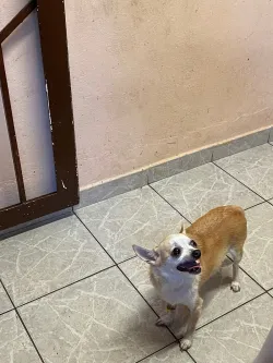 Fotografia miesta 5 od Veterinárna poliklinika  - MVDr. Milan Švihran