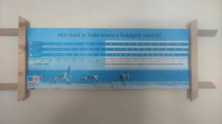 Fotografia miesta 3 od Veterinárna ambulancia - MVDr. Richard Neubert