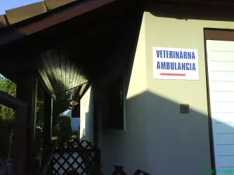 Fotografia miesta 3 od Veterinárna ambulancia-MVDr. Vass Ladislav