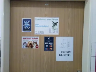 Fotografia miesta 3 od Veterinárna ambulancia - MVDr. Katarína Pekárová
