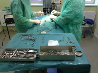 Fotografia miesta 1 od Veterinárna nemocnica Dúbrava - MVDr. Ivan Karpjak