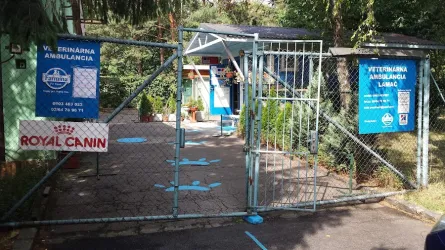 Fotografia miesta 1 od Veterinárna - Homeopaticko - Akupunkturistická  ambulancia - Bratislava - LAMAČ - MVDr. Pavol Čech