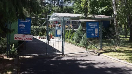 Fotografia miesta 5 od Veterinárna - Homeopaticko - Akupunkturistická  ambulancia - Bratislava - LAMAČ - MVDr. Pavol Čech