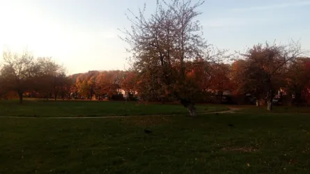 Fotografia miesta 1 od Liečebňa Sv. Františka, a.s.