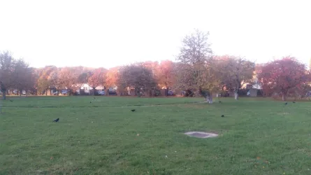 Fotografia miesta 5 od Liečebňa Sv. Františka, a.s.