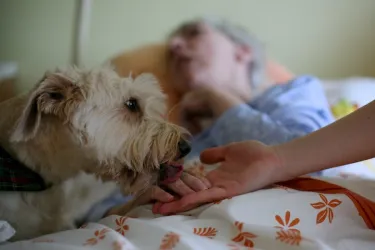 Fotografia miesta 4 od Hospic Milosrdných sestier v Trenčíne