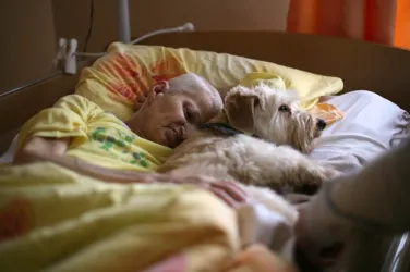 Fotografia miesta 8 od Hospic Milosrdných sestier v Trenčíne