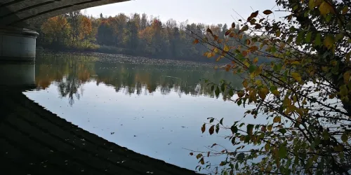 Fotografia miesta 3 od Veterinárna ambulancia - Sereď
