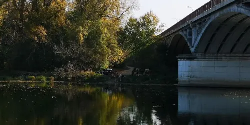Fotografia miesta 4 od Veterinárna ambulancia - Sereď