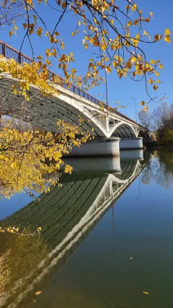 Fotografia miesta 5 od Veterinárna ambulancia - Sereď