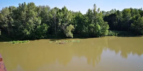 Fotografia miesta 6 od Veterinárna ambulancia - Sereď