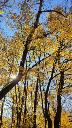 Fotografia miesta 7 od Veterinárna ambulancia - Sereď