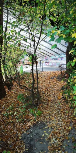 Fotografia miesta 9 od Veterinárna ambulancia - Sereď