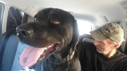 Fotografia miesta 5 od Veterinárna ambulancia - MVDr. Katarína Polačková