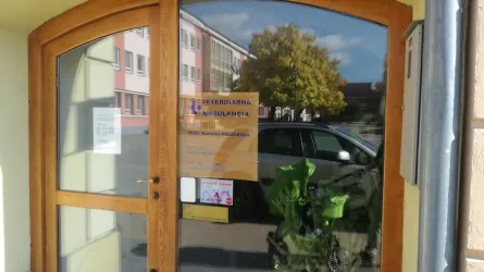 Fotografia miesta 6 od Veterinárna ambulancia - MVDr. Katarína Polačková