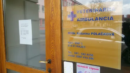 Fotografia miesta 7 od Veterinárna ambulancia - MVDr. Katarína Polačková