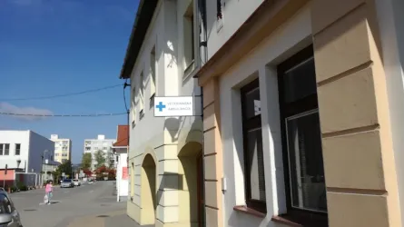 Fotografia miesta 9 od Veterinárna ambulancia - MVDr. Katarína Polačková