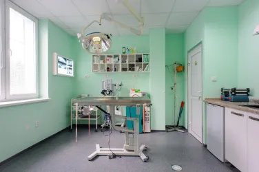 Fotografia miesta 1 od Veterinárna ambulancia - MVDr. Tomáš Scheer - Veterina Turiec